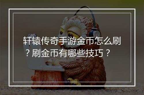 轩辕传奇手游金币怎么刷？刷金币有哪些技巧？