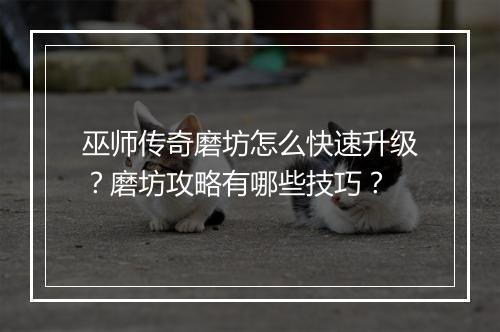 巫师传奇磨坊怎么快速升级？磨坊攻略有哪些技巧？