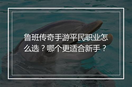 鲁班传奇手游平民职业怎么选？哪个更适合新手？
