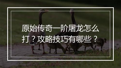 原始传奇一阶屠龙怎么打？攻略技巧有哪些？