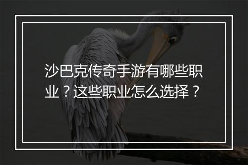 沙巴克传奇手游有哪些职业？这些职业怎么选择？