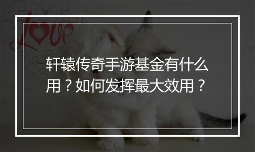 轩辕传奇手游基金有什么用？如何发挥最大效用？