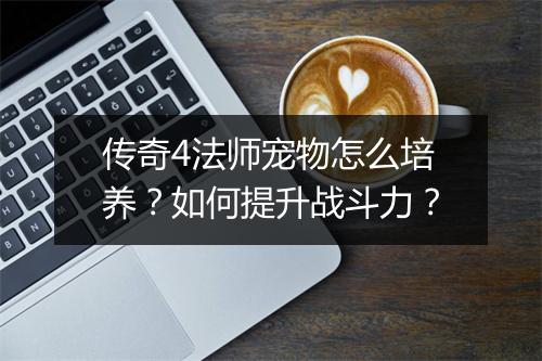 传奇4法师宠物怎么培养？如何提升战斗力？