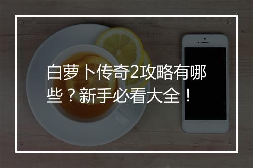白萝卜传奇2攻略有哪些？新手必看大全！