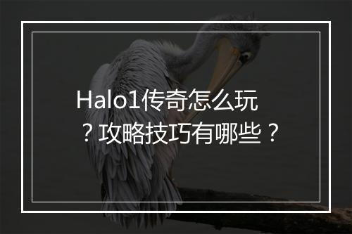 Halo1传奇怎么玩？攻略技巧有哪些？