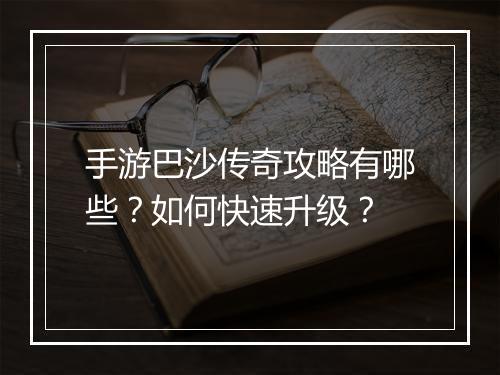 手游巴沙传奇攻略有哪些？如何快速升级？