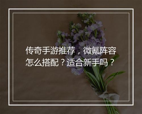 传奇手游推荐，微氪阵容怎么搭配？适合新手吗？