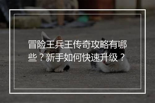 冒险王兵王传奇攻略有哪些？新手如何快速升级？