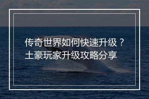 传奇世界如何快速升级？土豪玩家升级攻略分享