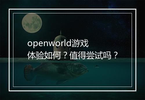 openworld游戏体验如何？值得尝试吗？
