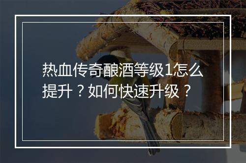 热血传奇酿酒等级1怎么提升？如何快速升级？