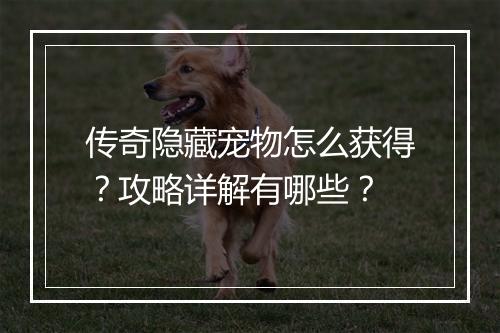 传奇隐藏宠物怎么获得？攻略详解有哪些？