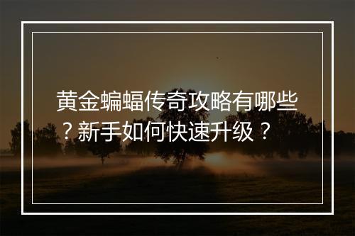黄金蝙蝠传奇攻略有哪些？新手如何快速升级？