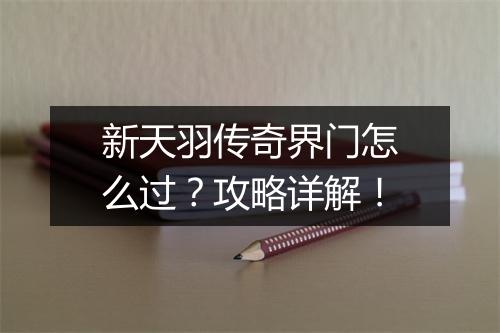 新天羽传奇界门怎么过？攻略详解！