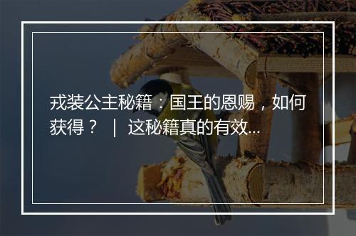 戎装公主秘籍：国王的恩赐，如何获得？ ｜ 这秘籍真的有效吗？