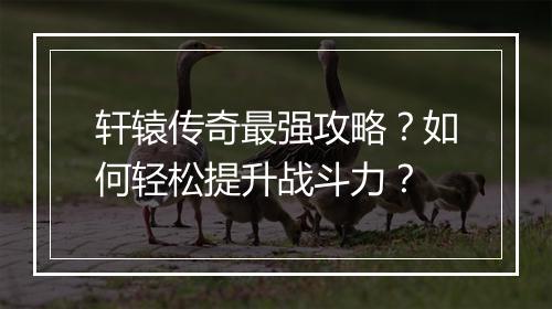 轩辕传奇最强攻略？如何轻松提升战斗力？