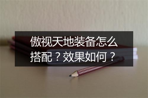 傲视天地装备怎么搭配？效果如何？
