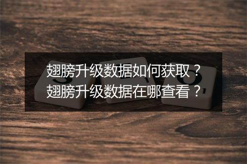 翅膀升级数据如何获取?翅膀升级数据在哪查看?