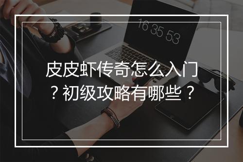 皮皮虾传奇怎么入门？初级攻略有哪些？