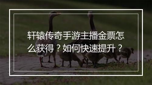轩辕传奇手游主播金票怎么获得？如何快速提升？