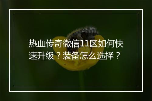 热血传奇微信11区如何快速升级？装备怎么选择？