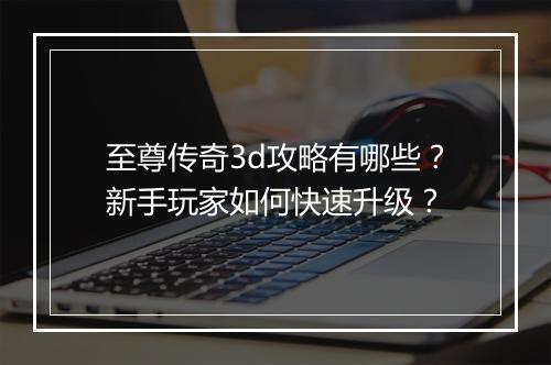 至尊传奇3d攻略有哪些？新手玩家如何快速升级？