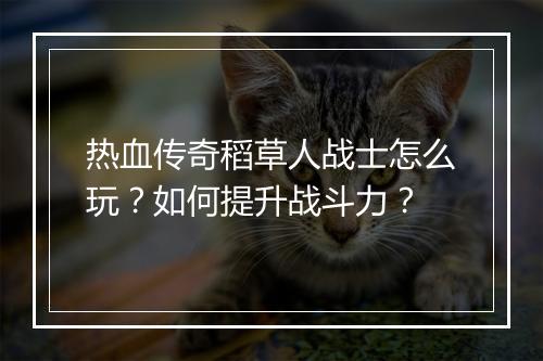 热血传奇稻草人战士怎么玩？如何提升战斗力？