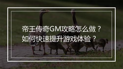 帝王传奇GM攻略怎么做？如何快速提升游戏体验？