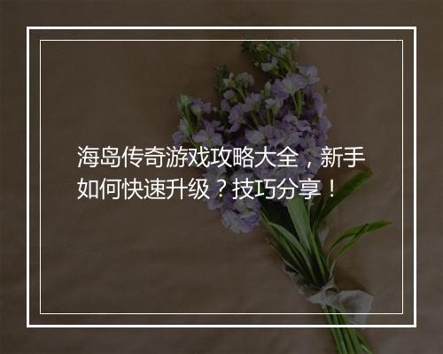 海岛传奇游戏攻略大全，新手如何快速升级？技巧分享！