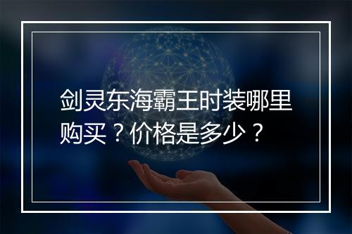 剑灵东海霸王时装哪里购买？价格是多少？