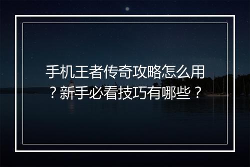 手机王者传奇攻略怎么用？新手必看技巧有哪些？