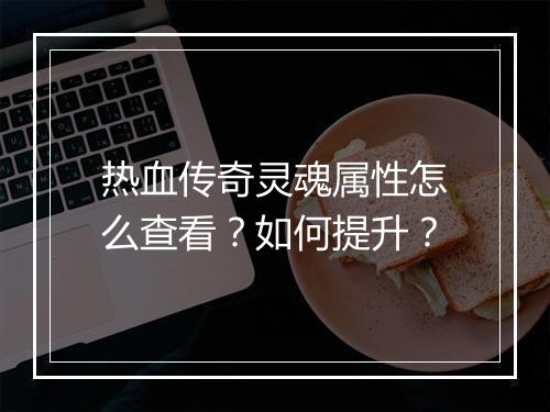 热血传奇灵魂属性怎么查看？如何提升？