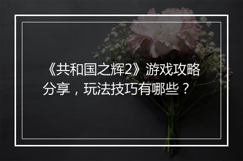 《共和国之辉2》游戏攻略分享，玩法技巧有哪些？