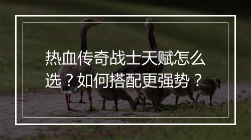 热血传奇战士天赋怎么选？如何搭配更强势？