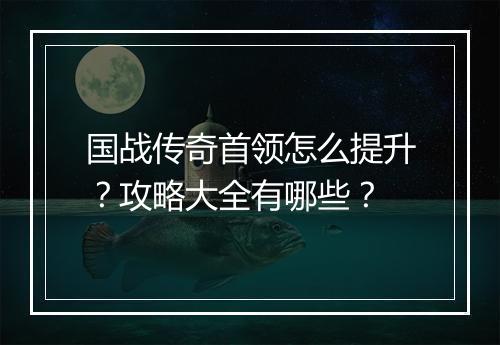 国战传奇首领怎么提升？攻略大全有哪些？