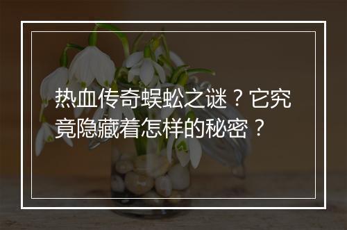 热血传奇蜈蚣之谜？它究竟隐藏着怎样的秘密？