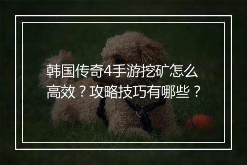 韩国传奇4手游挖矿怎么高效？攻略技巧有哪些？