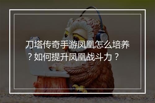 刀塔传奇手游凤凰怎么培养？如何提升凤凰战斗力？
