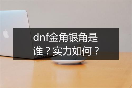 dnf金角银角是谁？实力如何？