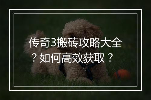 传奇3搬砖攻略大全？如何高效获取？