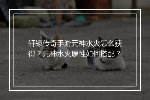 轩辕传奇手游元神水火怎么获得？元神水火属性如何搭配？