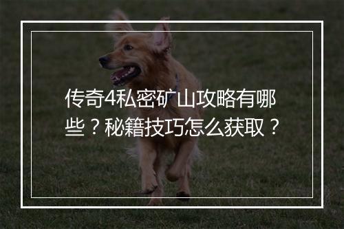 传奇4私密矿山攻略有哪些？秘籍技巧怎么获取？