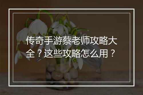 传奇手游蔡老师攻略大全？这些攻略怎么用？