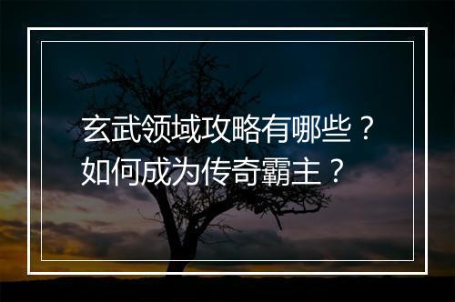 玄武领域攻略有哪些？如何成为传奇霸主？