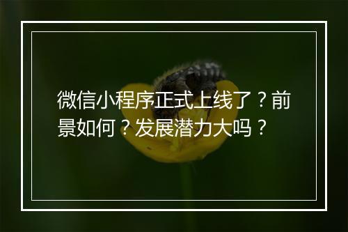 微信小程序正式上线了？前景如何？发展潜力大吗？