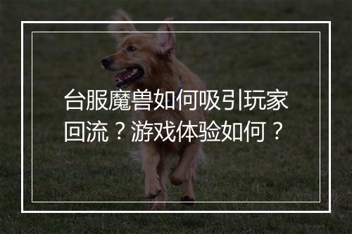 台服魔兽如何吸引玩家回流？游戏体验如何？