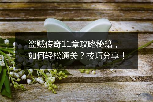 盗贼传奇11章攻略秘籍，如何轻松通关？技巧分享！