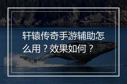 轩辕传奇手游辅助怎么用？效果如何？
