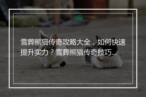 雪葬熊猫传奇攻略大全，如何快速提升实力？雪葬熊猫传奇技巧分享！