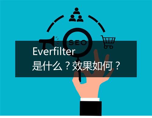 Everfilter是什么？效果如何？